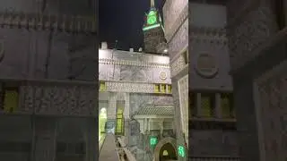 الشيخ بندر بليلة يترنم بترتيل يسلب الألباب لسورة الرحمن | فجر 5-3-1443هـ 