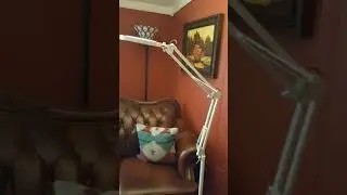 TOMSOO 3-in-1 Magnifying Floor Lamp Review