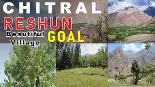 Most Beautiful Village in Chitral Pakistan | Reshun Valley | Dok Shal Reshun Gol
