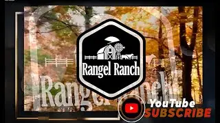 RANGEL RANCH  -  SUBSCRIBE