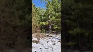 Мочиться как женщина