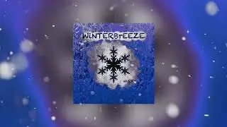 WiNTERBrEEZE  - Wiscky (visualizer)