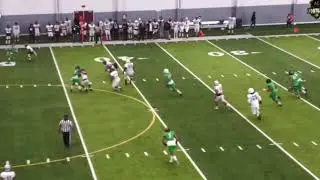 Trilian Harris- 2021 QB