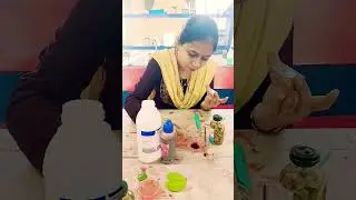T.S.of monocot stem#biology #class 11#practical !!studypoint433
