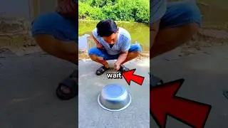 Fake Death? Chick Pulls a Comeback!😱