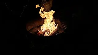 Camping at Blue Spring State Park: Episode 1