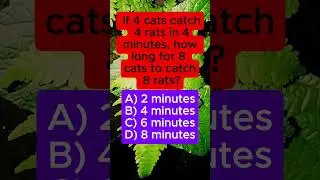 4 Cats 4 Rats 4 Min &rarr; 8 Cats 8 Rats = ? 🐱 Viral Logic Quiz | IQ VistaX #quiztime #didyouknow