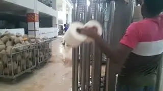 কিভাবে ইয়ার্ন ডাইং এ কেরিয়ারে সফট কোন গুলো সাজানো হয়#yarndyeing#carrier#soft winding#softwinding