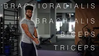 These 4 Exercises Will Build Your Arms