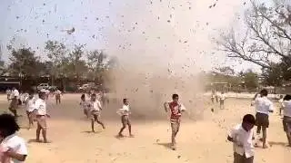 พายุหมุนแสนสนุก 