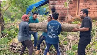 BIGGEST (7) FEET TEAK TREE LIFTING 😱🪵| PROFESSIONAL TREE CUTTER SHAREEF MALI🔥👌|
