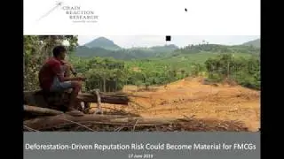 CRR Webinar: Why are FMCGs in danger of deforestation-driven reputation risks?