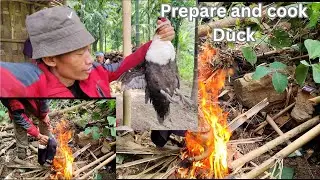 Prepare and cook in jungle paddy field || naga style Duck curry