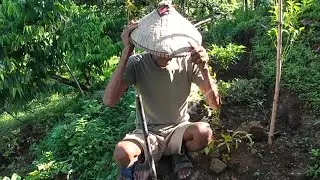 Wow! Patuloy Pa Ring Lumalaban | Isang Inspirasyon sa Buhay-Farm