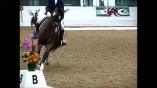 Woodcroft Royal Charter @ Myerscough