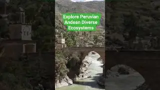 Откройте для себя невероятно разнообразные экосистемы перуанских Анд! #peru #andean #peruvian