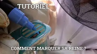 Comment marquer sa reine ? - Tuto vid&eacute;o NATURAPI