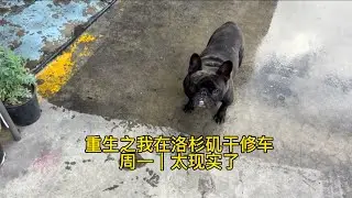洛杉矶修车工的一天｜周一一上班，就被现实狠狠干了一拳