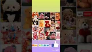 Teddy bear new whatsapp status video download,                      Happy-teddy-day-2022-status