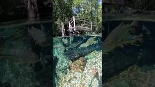 RIO DA PRATA ~ BONITO/MS ~ Brasil