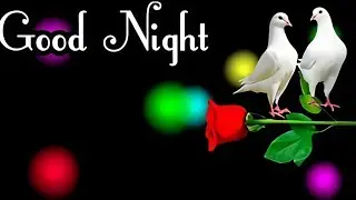 Good night video ,Good night status, Good night song,Good night photo ,#good night 