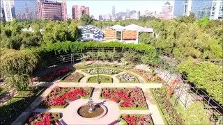 Parque Araucano rose garden in Santiago, Chile
