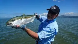 How to Catch Kingfish on the Fly - Complete Angler