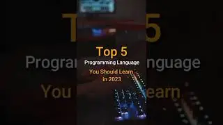 you should learn these programming languages