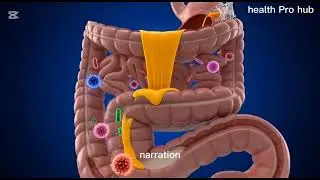 &ldquo;Amazing Journey of Mango Juice in the Human Body 🥭 | 3D Medical Animation with Cute Goat&rdquo;