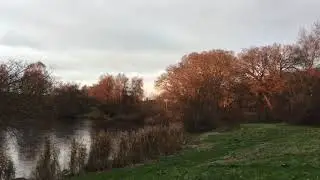 🇩🇰 Beautiful Sunset close to Frozen Rivers near Aarhus in Denmark