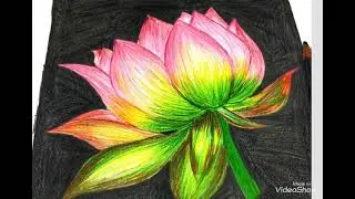 How to Draw Realistic Flower with color pencil | Lotus speed  Drawing