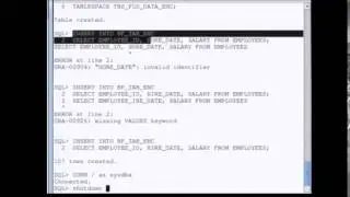 Oracle Advanced Security Option