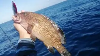 La pêche en kayak nout passion 974