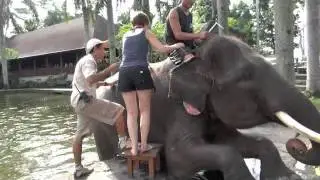 Elephant Safari Park, Taro, Bali