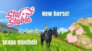 Star Stable - Texas Bluebell - New horse in the SSO app!