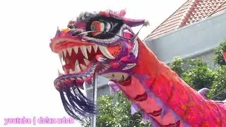 Atraksi Barongsai Naga Pink | Hiburan Ramah Anak Karnaval Karanganyar