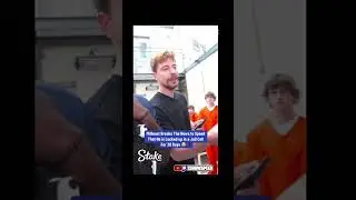 ishowspeed gets into a fight with mrbeast