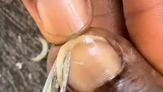 ASMR NAILS SCISSORS CLEANING (SHAVED) BARBER| STREET PEDICURE #asmr #relaxing #viralvideo
