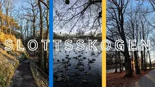 S L O T T S S K O G E N | Zoo - Park in the Middle of Gothenburg City | Walking Tour | Stroll