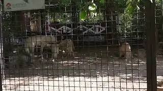 Не ищу легких путей