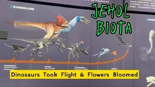 Jehol Biota - Chaoyang Bird Fossil Museum, Liaoning