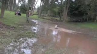 Bellingen floods 