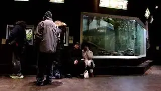 mini vlog z zoo
