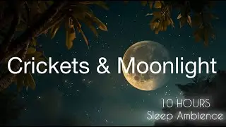 Bali Night Magic 🌙 | 10 HOURS of Crickets, Stars & Moonlight for Deep Sleep (No Music)