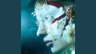 D&eacute;sillusion