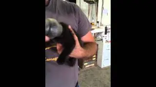 Poor Cat got his Head Stuck in a Plastic Peanut Jar