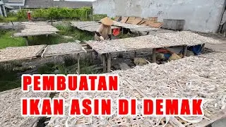 PEMBUATAN IKAN ASIN DI WEDUNG DEMAK || TPI WEDUNG DEMAK