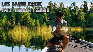 Fall Los Banos Creek Fishing - Thick Cover Chatter bait fishing