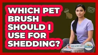 Which Pet Brush Should I Use For Shedding?