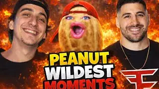 8 min of Peanut Wild moments